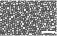 Hexagonala indiumarsenid nanotrådar. Foto tagen med svepelektronmikroskop av Anette Löfstrand