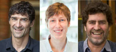The three researchers in the Synergy Grant ArtMotor