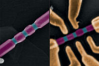 SEM photo of double quantum dots by David Barker 